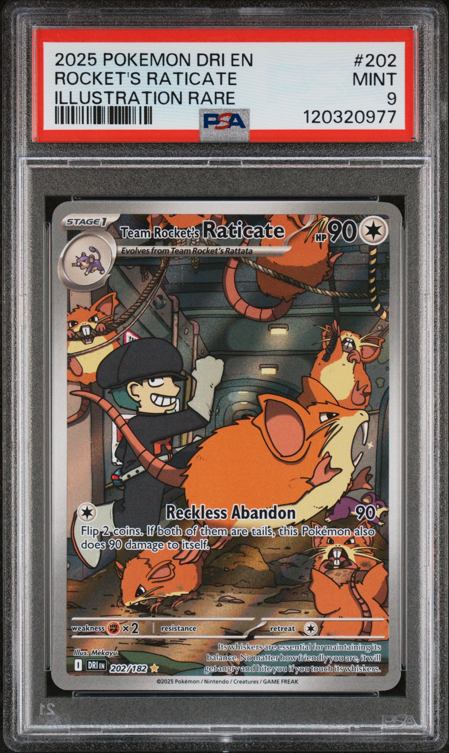 pokemon tcg graded cards Blastoise ex 200/165 Are you on the lookout for a Graded Pokemon Card pack that guarantees a wide range of captivating and valuable cards Over the Brick Graded